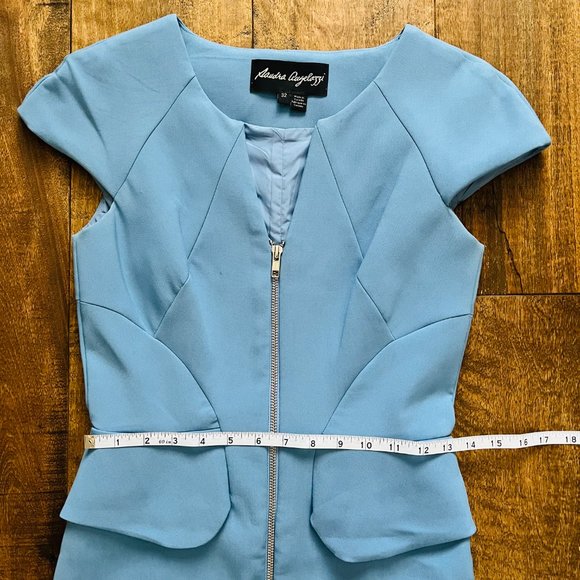 Sandra Angelozzi Blue Business Formal Pencil Dress w/ Cap Sleeves & Front Zipper - Picture 8 of 9